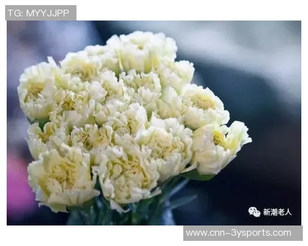 迪拉娜生日晒照传递祝福愿大家健康平安生活顺利